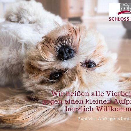 Boardinghouse Rathsmuehle Apartment Aachen Luaran gambar